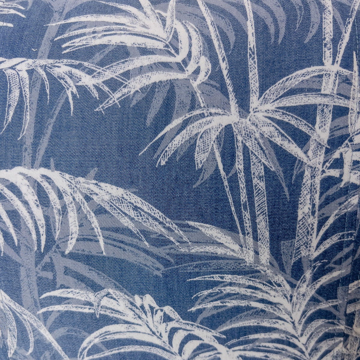 Palm
